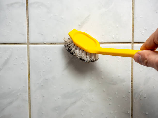 Best Preventive Mold Services in Utqiagvik, AK