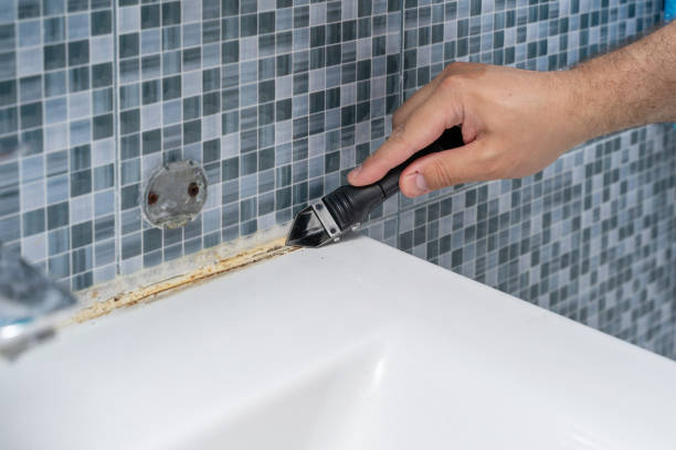 Best Black Mold Remediation in Utqiagvik, AK